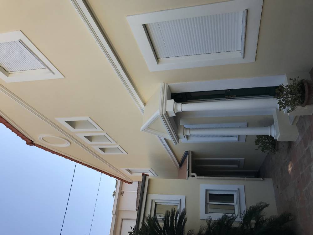 IMG-6358.jpg